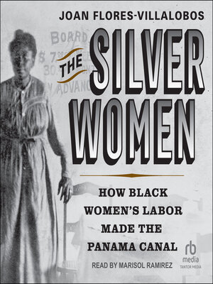 cover image of The Silver Women